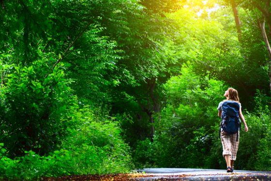 Geführte Wanderung in und um Bad Arolsen oder Mengeringhausen 