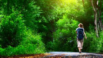 Hiking in and around Bad Arolsen