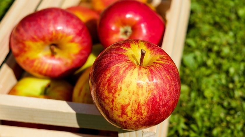 4. Landauer Herbst- und Apfelfest