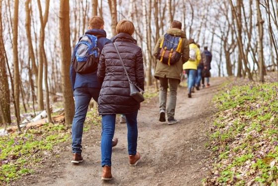 Wanderung in die Geschichte 1/2024 : „Geheimnisvolle Landschaft der Hollenkammer zwischen Volkmarsen und Lütersheim&quot;