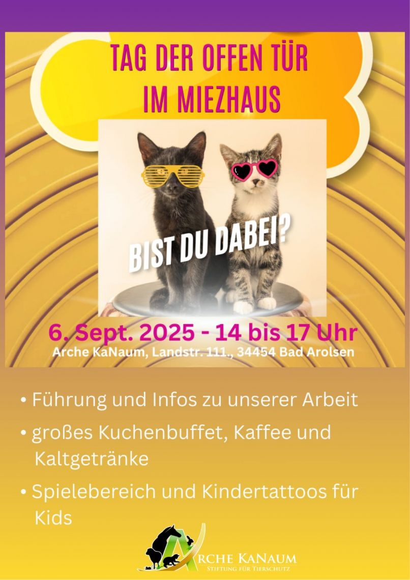 Tag der offenen Tür im Miezhaus 